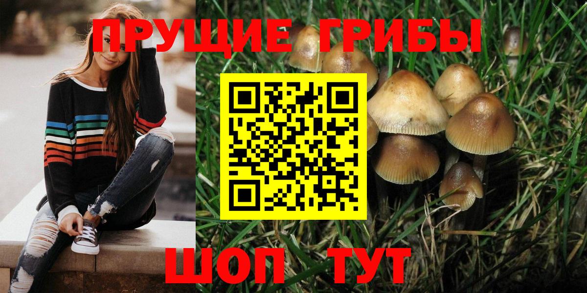 Псилоцибиновые грибы MAGIC MUSHROOMS Бор