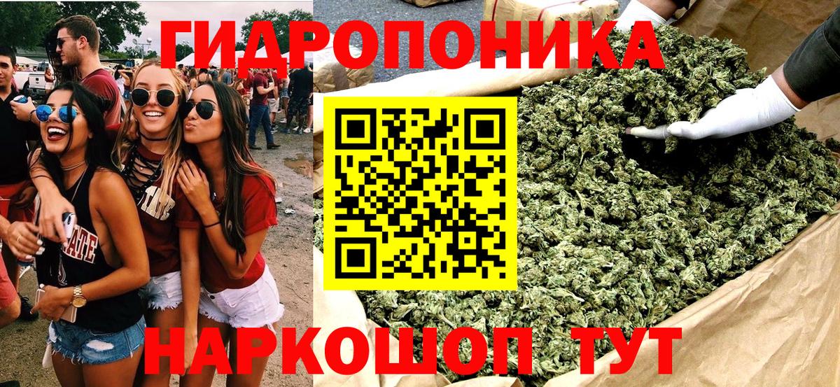 Каннабис MAZAR Бор